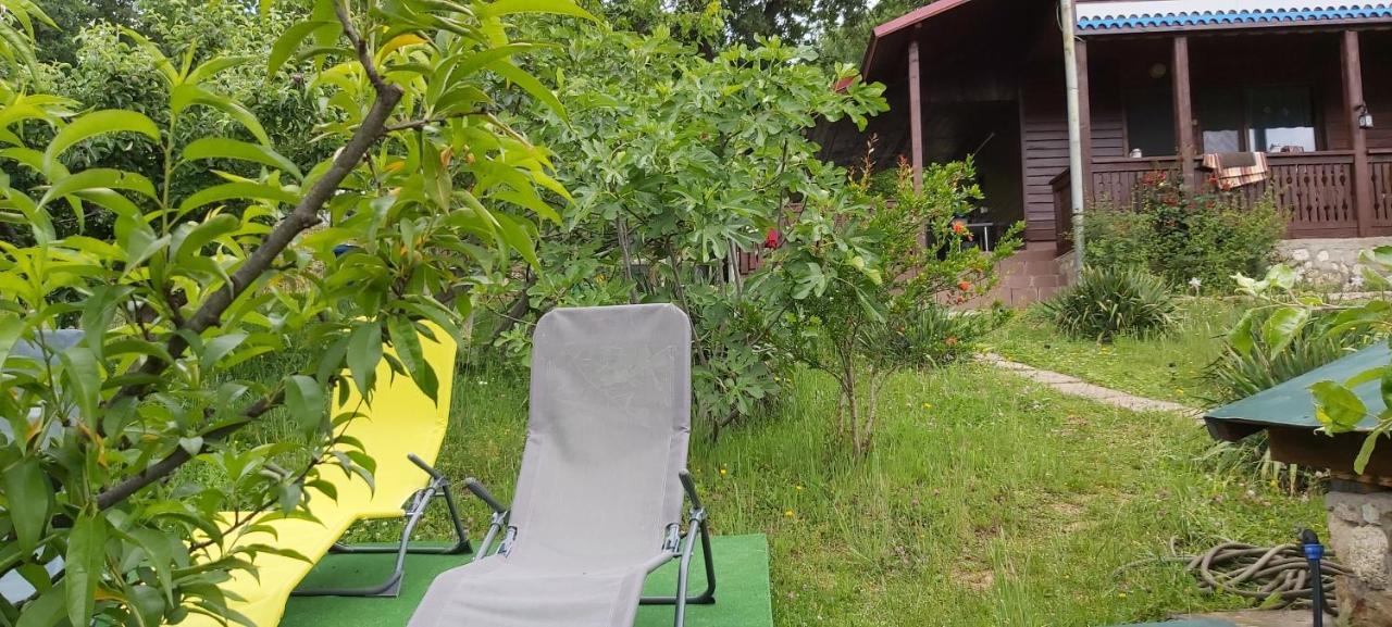 Casa Melania Villa Ieşelniţa Bagian luar foto